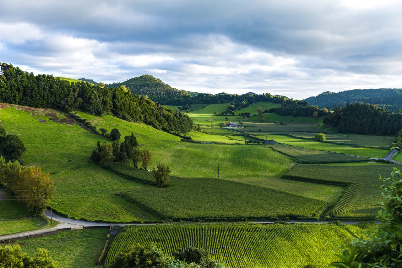 Scenic view of vibrant green farmland and rolling hills under a cloudy sky, perfect for nature and agriculture themes.
